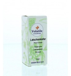 Volatile Latchenkiefer 10 ml