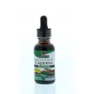 Natures Answer Zoethout extract 2000mg 30 ml