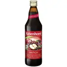 Rabenhorst Antioxidant 750 ml