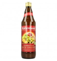 Rabenhorst Ginger mix 750 ml
