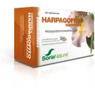 Soria Harpagophytum proc 24-S 60 tabletten