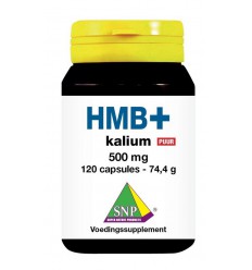 Kalium SNP HMB+ kalium 500 mg puur 120 capsules kopen