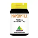 SNP Pompoenpitolie 1000 mg 60 capsules