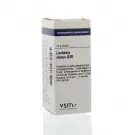 VSM Lachesis mutus D30 10 gram globuli