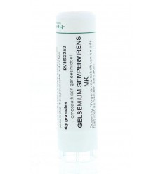 Homeoden Heel Gelsemium sempervirens MK 6 gram granules