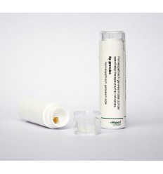 Homeoden Heel Ammonium carbonicum 200K 1 gram globuli