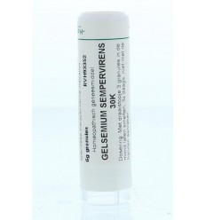 Homeoden Heel Gelsemium sempervirens 30K 6 gram granules