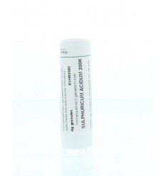 Homeoden Heel Sulphuricum acidum 200K 6 gram granules