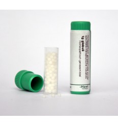 Homeoden Heel Sulphur D12 1 gram globuli