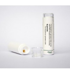 Artikel 4 enkelvoudig Homeoden Heel Nux vomica 12K 6 gram kopen