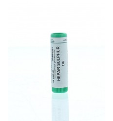 Homeoden Heel Hepar sulphur D6 1 gram globuli