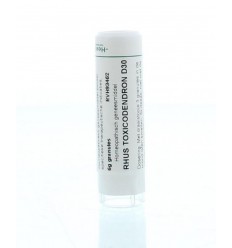 Homeoden Heel Rhus toxicodendron D30 6 gram granules