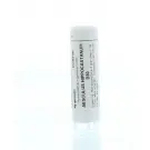 Homeoden Heel Aesculus hippocastanum D30 6 gram granules