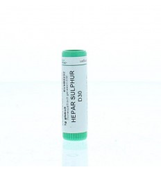 Homeoden Heel Hepar sulphur D30 1 gram globuli