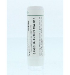 Homeoden Heel Spigelia anthelmia D12 6 gram granules