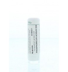 Homeoden Heel Phosphoricum acidum D30 6 gram granules