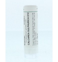 Homeoden Heel Calcarea sulphurica D12 6 gram granules