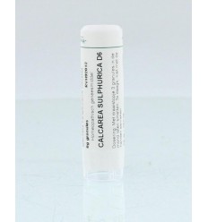 Homeoden Heel Calcarea sulphurica D6 6 gram granules
