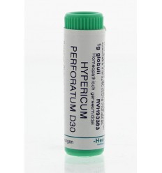 Homeoden Heel Hypericum perforatum D30 1 gram globuli