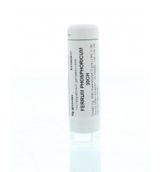 Homeoden Heel Ferrum phosphoricum 30CH 6 gram granules
