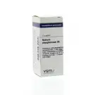 VSM Natrium phosphoricum D6 10 gram globuli