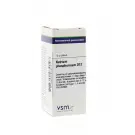 VSM Natrium phosphoricum D12 10 gram globuli