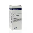 VSM Bryonia cretica LM30 4 gram globuli
