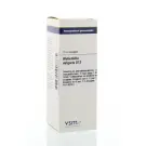 VSM Alchemilla vulgaris D12 20 ml druppels