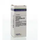 VSM Rhus toxicodendron D3 10 gram globuli