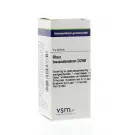 VSM Rhus toxicodendron D200 4 gram globuli