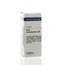 VSM Rhus toxicodendron C30 4 gram globuli
