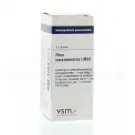 VSM Rhus toxicodendron LM30 4 gram globuli