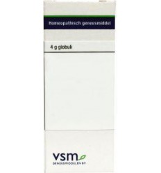 VSM Rhus toxicodendron 12K 4 gram globuli