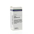 VSM Carbo vegetabilis C30 4 gram globuli