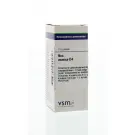 VSM Nux vomica D4 10 gram globuli