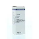 VSM Berberis vulgaris D4 20 ml druppels