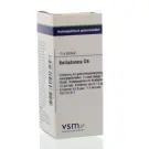 VSM Belladonna D4 10 gram globuli