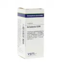 VSM Belladonna D200 4 gram globuli