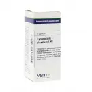 VSM Lycopodium clavatum LM1 4 gram globuli