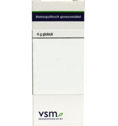 VSM Natrium muriaticum LM4 4 gram globuli