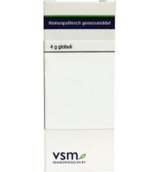 VSM Natrium muriaticum LM18 4 gram globuli