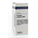 VSM Pulsatilla pratensis LM30 4 gram globuli