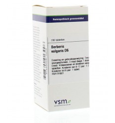 Artikel 4 enkelvoudig VSM Berberis vulgaris D6 200 tabletten