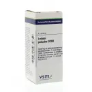 VSM Ledum palustre D200 4 gram globuli