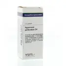 VSM Hypericum perforatum D4 10 gram globuli