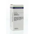 VSM Hypericum perforatum D6 200 tabletten