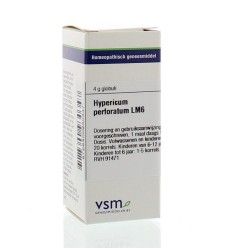 VSM Hypericum perforatum LM6 4 gram globuli