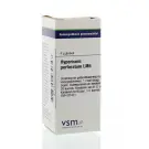 VSM Hypericum perforatum LM6 4 gram globuli