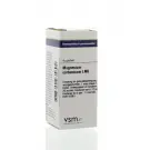 VSM Magnesium carbonicum LM6 4 gram globuli