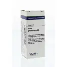 VSM Ruta graveolens C6 4 gram globuli